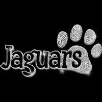 GLT17 SILVER GLITTER Thumbnail