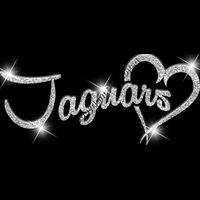 GLT6   SILVER GLITTER Thumbnail